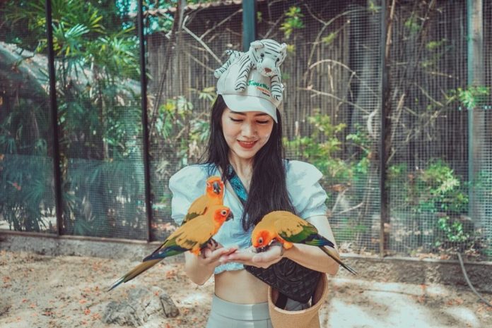 du lịch bangkok 2019, du lịch thái lan, inspitrip thái lan, thổ địa thái lan, safari world bangkok: vườn thú mở lớn nhất thái lan