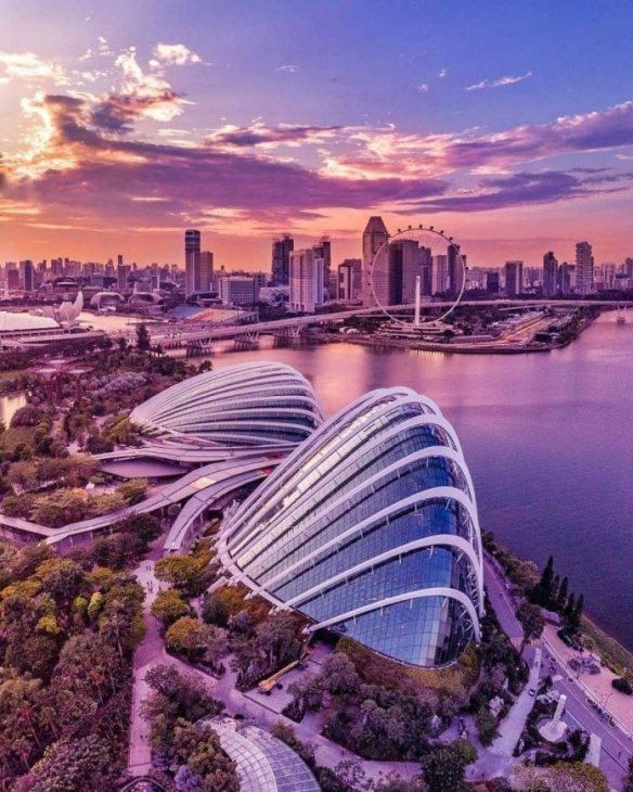Singapore Tourist Pass: Tất Cả Những Điều Cần Biết