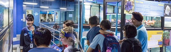 bí kíp tham quan sea life, du lịch bangkok 2019, du lịch sea life 2019, tham quan thủy cung bangkok, sea life bangkok ocean world: những điều bạn nên biết về thủy cung hoành tráng nhất bangkok