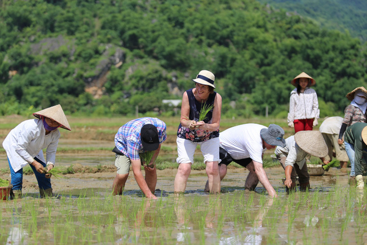 du lịch mai châu, inspitrip mai châu, thổ địa mai châu, top resort mai châu, top 5 resort lý tưởng cho gia đình du xuân tại mai châu