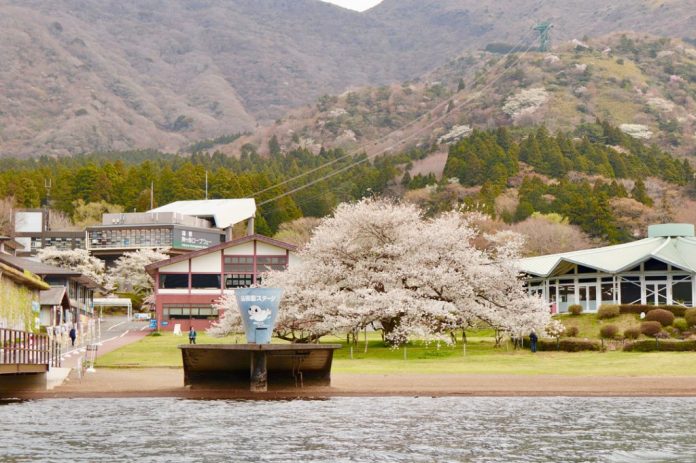 Hakone: Khu Nghỉ Dưỡng Suối Nước Nóng Thơ Mộng