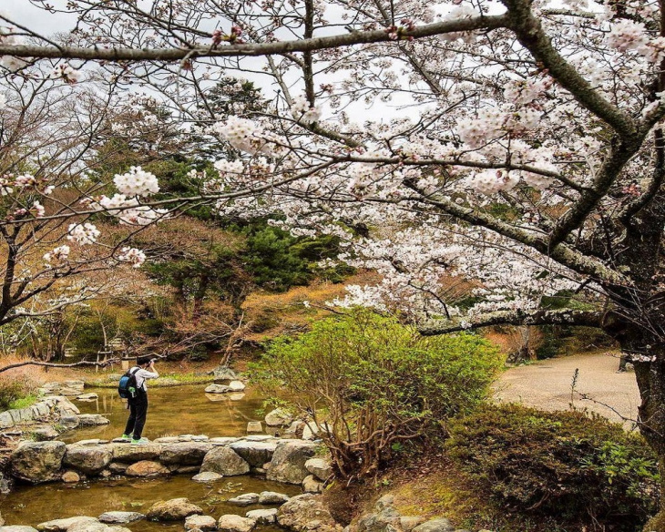 ngắm hoa anh đào ở hokkaido, khám phá, top 5 điểm ngắm hoa anh đào ở hokkaido tuyệt đẹp