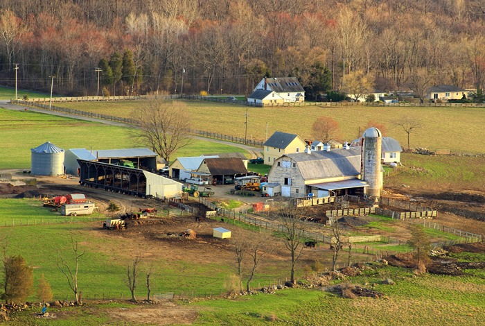 nông trại farm sanctuary, khám phá, nông trại hạnh phúc farm sanctuary bậc nhất nước mỹ