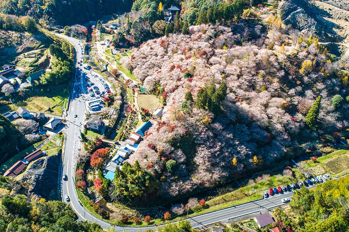 Những trải nghiệm nên thử khi đặt chân đến thành phố Toyota – Nhật Bản
