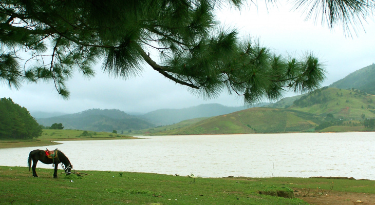 Hồ Suối Vàng Đà Lạt (Dankia)