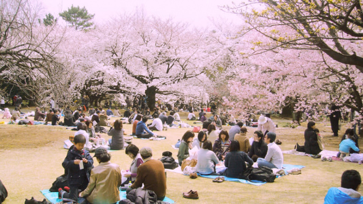 Những Lễ Hội Nhật Bản Đặc Sắc Trong Tháng 4