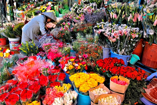 Chợ hoa Đà Lạt: Vụ hoa Tết lớn nhất hàng năm
