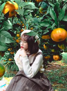 khám phá, check-in vườn cây “trái vàng” cam canh mộc châu