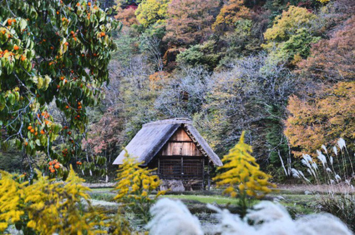làng shirakawago, du lịch nhật bản, khám phá, làng shirakawago – nơi bộ truyện tranh doraemon ra đời