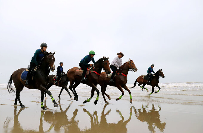 Trải nghiệm cảm giác đua ngựa mới lạ tại Hà Tĩnh