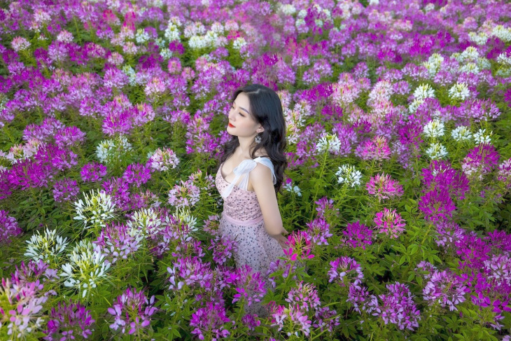 khám phá, chiêm ngưỡng vườn hoa khổng lồ trên đỉnh fansipan