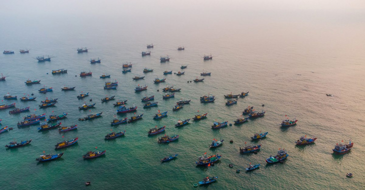 Đến Quảng Nam và tham quan chợ cá sầm uất nơi đây