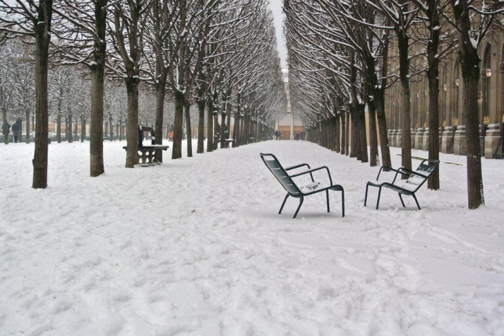 mùa đông paris, khám phá, ngắm nhìn vẻ đẹp lãng mạn của mùa đông paris