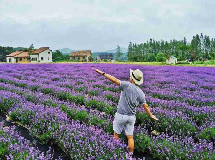 điểm đến nổi bật đà lạt, địa điểm du lịch nổi tiếng đà lạt, đà lạt, cẩm nang du lịch đà lạt, khám phá, 10 địa điểm du lịch đà lạt nổi bật