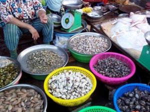 khám phá, chợ hải sản nha trang- nơi mua các loại hải sản tươi, ngon, chất lượng