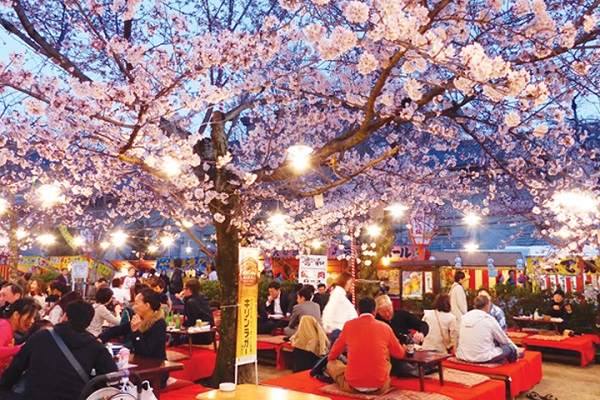 Lễ hội Hanami – lễ hội hoa anh đào tuyệt đẹp ở Nhật Bản - ALONGWALKER