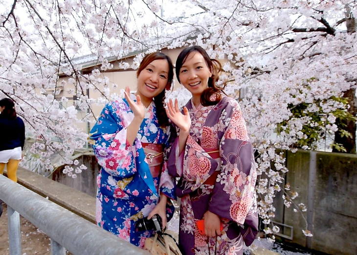 nhật bản, du lịch nước ngoài, du lịch nhật bản, du lịch châu á, cẩm nang du lịch, khám phá, lễ hội hanami – lễ hội hoa anh đào tuyệt đẹp ở nhật bản