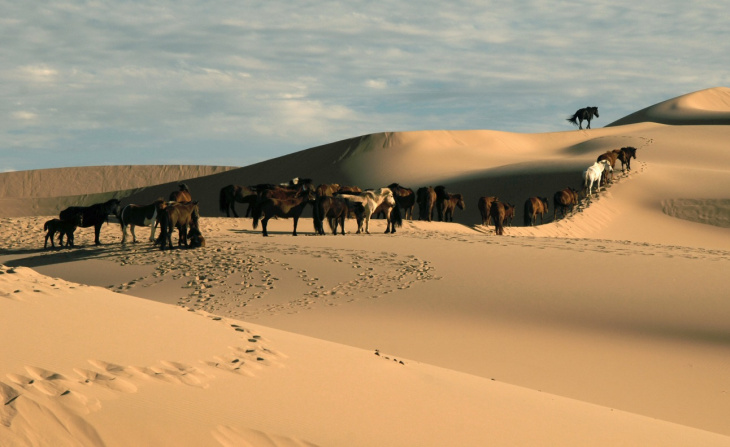 Điểm hấp dẫn du khách tại thánh địa khô nóng Mông Cổ