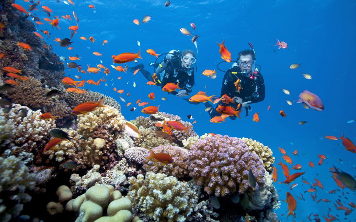 khám phá, kinh nghiệm lặn biển phú quốc ngắm san hô