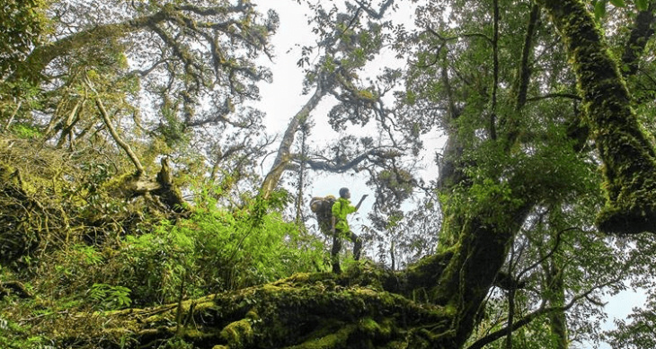 trekking tả liên sơn, trekking tả liên, trekking, kinh nghiệm trekking, du lịch sapa, du lịch lai châu, khám phá, tổng hợp chi tiết kinh nghiệm trekking tả liên sơn 2021