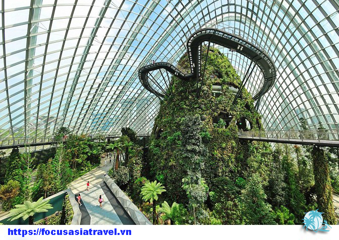 singapore, du lịch singapore, du lịch nước ngoài, du lịch đông nam á, cẩm nang du lịch, khám phá, khám phá vườn thực vật gardens by the bay, singapore