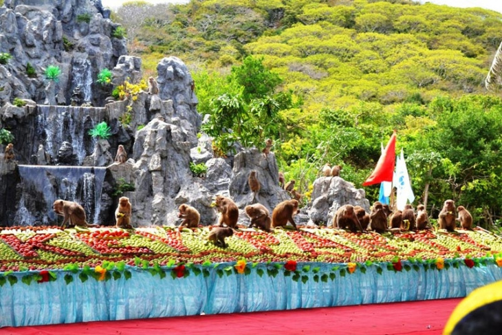 khám phá, đảo khỉ nha trang – khu du lịch dự kiến thu hút nhất 2020