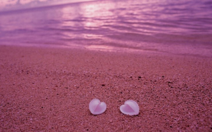 khám phá, những bãi biển màu hồng đẹp ngất ngay trên thế giới