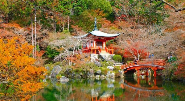 Top 5 địa điểm check-in mùa thu đẹp nhất tại Nhật Bản