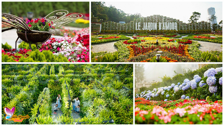 Thăm quan thiên đường các loài hoa – Vườn hoa Le Jardin D’amour