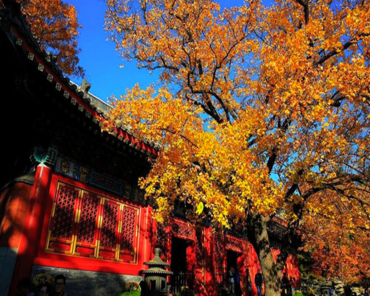 Những điểm du lịch Trung Quốc nổi bật vào mùa Thu