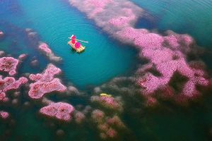 khám phá, lạc trôi giữa hồ tảo hồng đà lạt