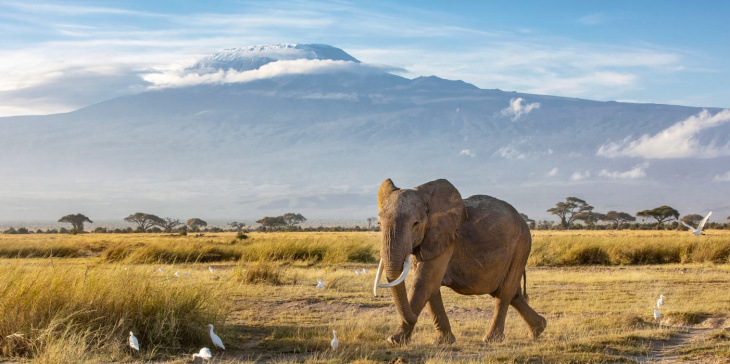 5 Lý do thuyết phục bạn du lịch Tanzania