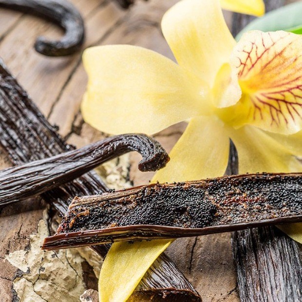Vanilla là gì? Công dụng và cách chế biến vanilla bạn cần biết? 10+ món ăn ngon miệng từ Vanilla