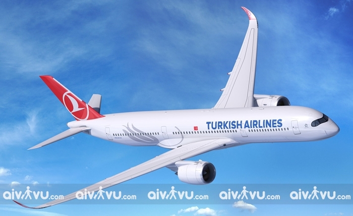Hướng dẫn làm thủ tục lên máy bay Turkish Airlines mới nhất