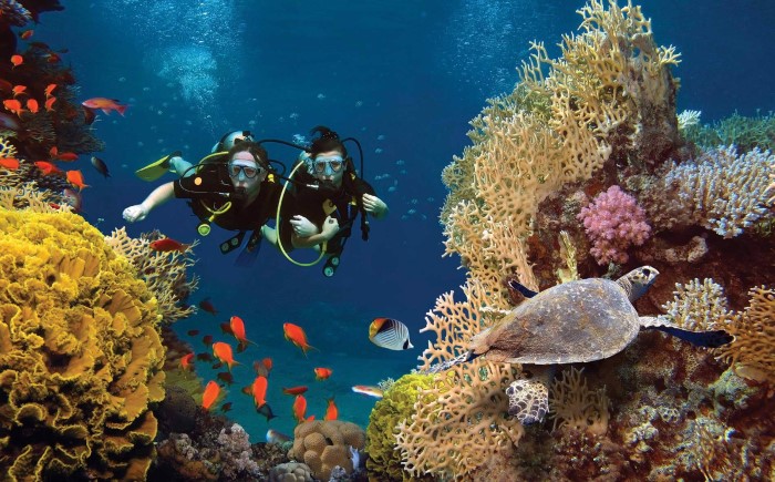 địa điểm ngắm san hô đẹp nhất ở phú quốc, khám phá, trải nghiệm, ‘bỏ túi’ những địa điểm ngắm san hô đẹp nhất ở phú quốc đi một lần là mê