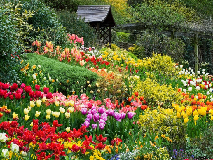 khám phá, top #10 vườn hoa đà lạt check in siêu xinh, sống ảo cực chất