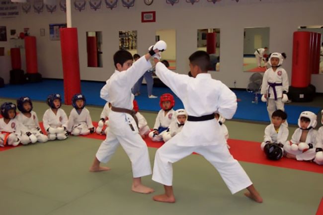 top 8 trung tâm học võ karate tốt nhất tại tphcm