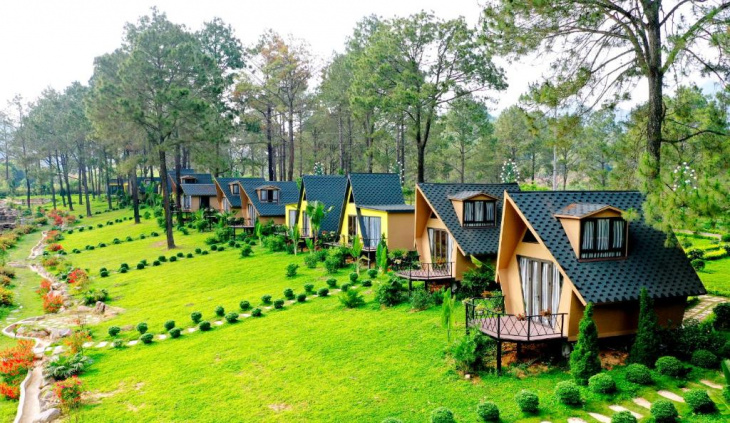 Review Phoenix Mộc Châu Resort - Khu nghỉ dưỡng giữa rừng thông