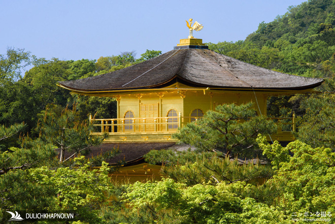 ngôi chùa ở nhật bản, chùa vàng kinkakuji, choáng ngợp ngôi chùa được dát bằng vàng thật ở nhật bản
