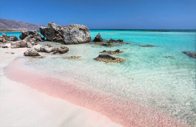 bãi biển màu hồng, bãi biển đẹp như mơ, những bãi biển màu hồng đẹp như mơ khắp thế giới
