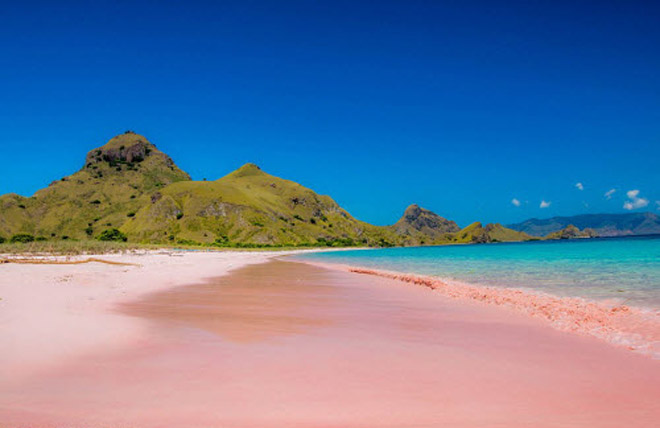 bãi biển màu hồng, bãi biển đẹp như mơ, những bãi biển màu hồng đẹp như mơ khắp thế giới