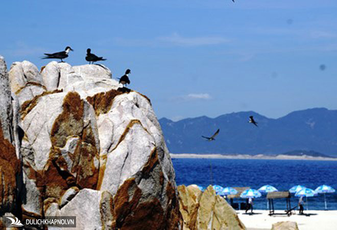 du lịch nha trang, thiên đường du lịch, danh lam thắng cảnh đẹp, bình ba, bình hưng, bình lập, bình tiên, vinpearl land, tháp bà ponagar, nha trang nhiều nơi đẹp thế này, không đi thì quá phí