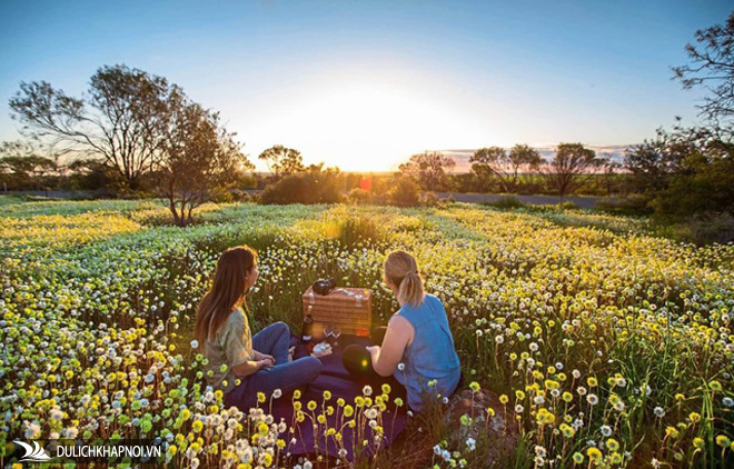 mùa xuân đẹp như tranh vẽ, mùa xuân rực rỡ ở australia, du lịch australia, mùa xuân đẹp như tranh vẽ ở phía bên kia trái đất