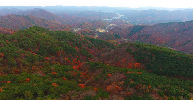 rừng lá đỏ rực ở xứ kim chi, du lịch hàn quốc, đỏ, rừng lá đỏ, rừng lá đỏ rực ở xứ kim chi nhìn từ trên cao