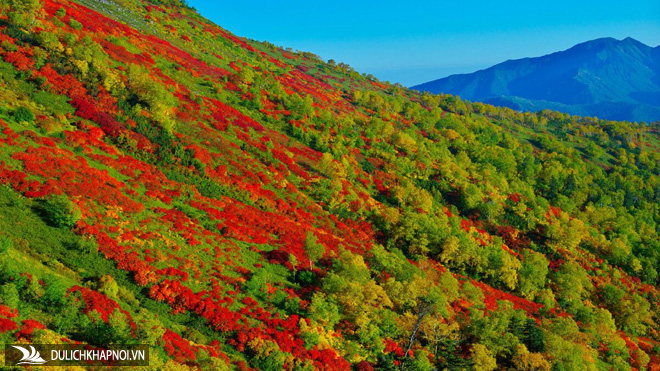 mùa thu ở daisetsuzan, hẻm núi sounkyo, suối nước nóng soikyo, hồ shikaribetsu-ko, du lịch mùa thu ở nhật, nơi đầu tiên đón mùa thu ở nhật