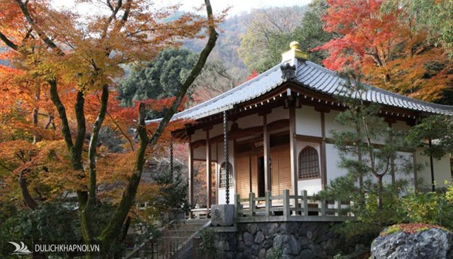 khu rừng trúc sagano, ngoại ô thành cổ kyoto, cây ngọc lục bảo, du lịch nhật bản, ở nhật bản có một khu vườn chỉ cần lạc vào là bạn sẽ bị mê hoặc
