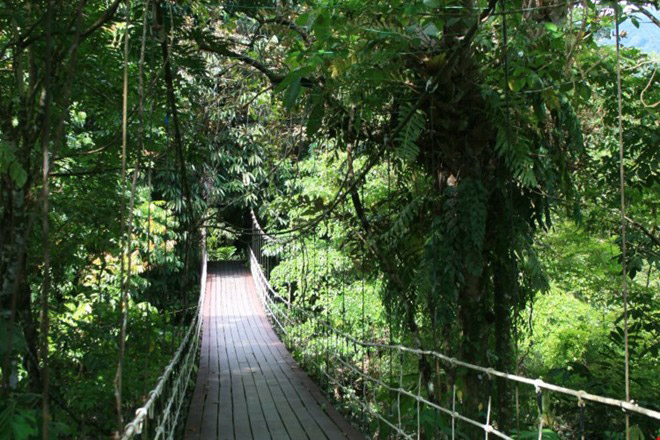vườn quốc gia gunung mulu, vườn quốc gia gunung mulu malaysia, vườn quốc gia malaysia, gunung mulu, vườn quốc gia, khám phá vẻ bí ẩn, huyền bí của vườn quốc gia gunung mulu