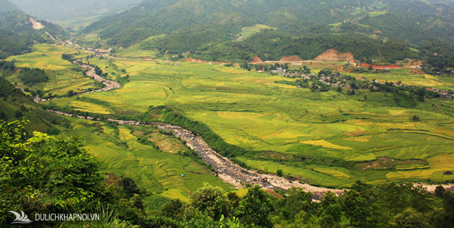 Lạc lối trong thung lũng lúa chín tráng lệ nhất Lào Cai