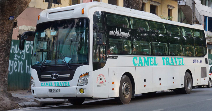 Xe Camel travel: Bến xe, giá vé, số điện thoại đặt vé, lịch trình A-Z