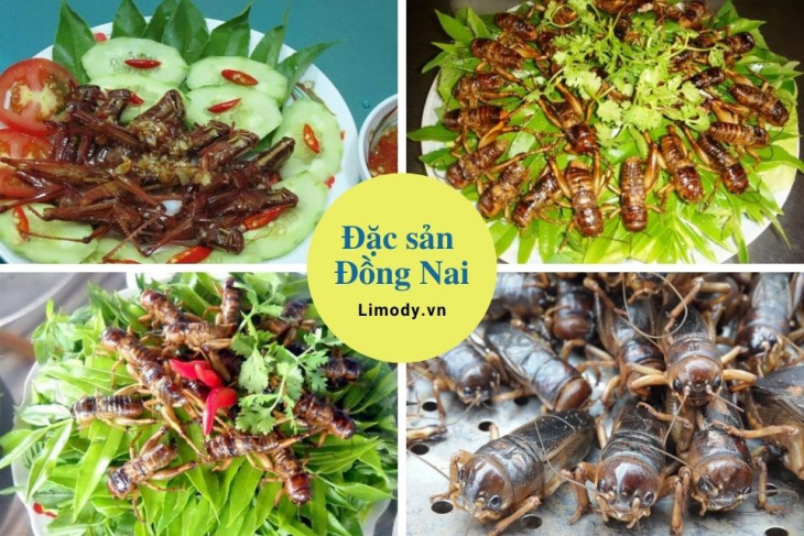 khám phá, trải nghiệm, top 20 đặc sản đồng nai – biên hòa – long khánh nức lòng lữ khách